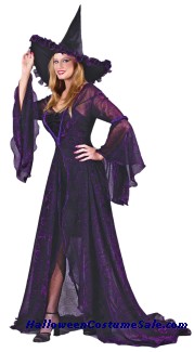 SHIMMERING ROSE WITCH ADULT COSTUME