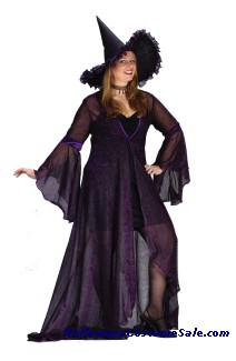 SHIMMERING WITCH ADULT COSTUME - PLUS SIZE