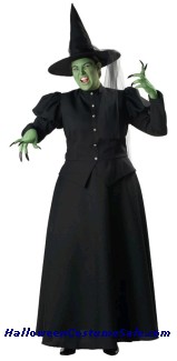 WICKED WITCH PLUS SIZE COSTUME