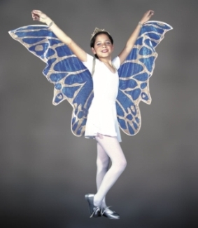 CHILDS FAIRY WINGS