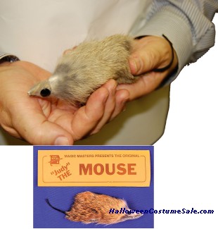 THE MOUSE