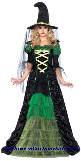 STORYBOOK WITCH ADULT COSTUME