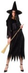 Classic witch costume includes classic black dress with serrated ends and sleeves. Sash included. Fits adult size 8-10.