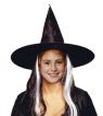 Witch Hat - Child Witch Hat w/wig.