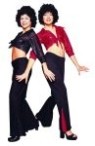 Disco girl costume includes Sequin Tie Top &amp; Black bell bottom Pants with Sequin Inserts. Size One Fits woman size 8 -12.  