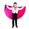 Classic Vampire costume includes top, pants, vest, sash &amp; reversible cape.