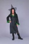 Gothic Witch costume includes black dress with green trim ends.