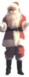 Deluxe Adult Santa Suit - Pile plush suit trimmed with long fur and completely satin lined. Includes: Zipper coat with inside pocket &amp; belt loops, pants with side pockets, hat with large pom-pom. Naugahyde boot tops, with long-hair plush cuffs, naugahyde belt with eyrlets, gilt bu