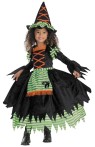 Storybook Witch Child Costume - Includes:  full-skirted dress with attached apron and matching hat. 100% polyester, dry clean only.