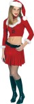 Ms Sexy Santa Adult Costume - Long sleeve midriff top trimmed in marabou with lace-up front look, pleated skirt, belt and deluxe hat. *Choke, boots and pantyhose are not included.