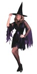Includes zig-zag trim dress with cutaway mesh, neckline and mesh, flared sleeves, velveteen collar, witch hat, leatherette tie sash. Fits up to size 12-14.