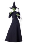 Wicked Witch Adult Costume - Full length gown, tulle petticoat, hat with tulle sash and stick on black fingernails. Large fits bust 37-39.5, waist 29-31.5, and hips 39.5-42; Medium fits bust 35-36.5, waist 27-28.5, and hips 37.5-39; Small fits bust 33-34.5, waist 25-26.5, and hips 35.5-37; X-large fits bust 40-43, waist 32-35, and hips 42.5-45.5.
